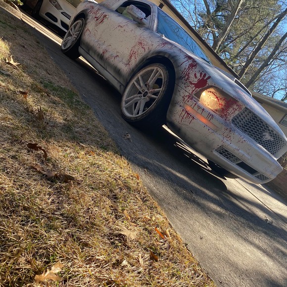 Meet your Posher, Mollyworlddiego - Picture 1 of 1